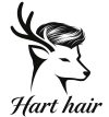 My WordPress